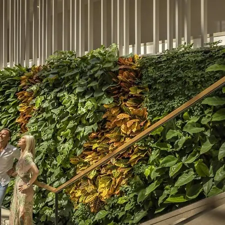 Aminess Laurel Khalani 5*